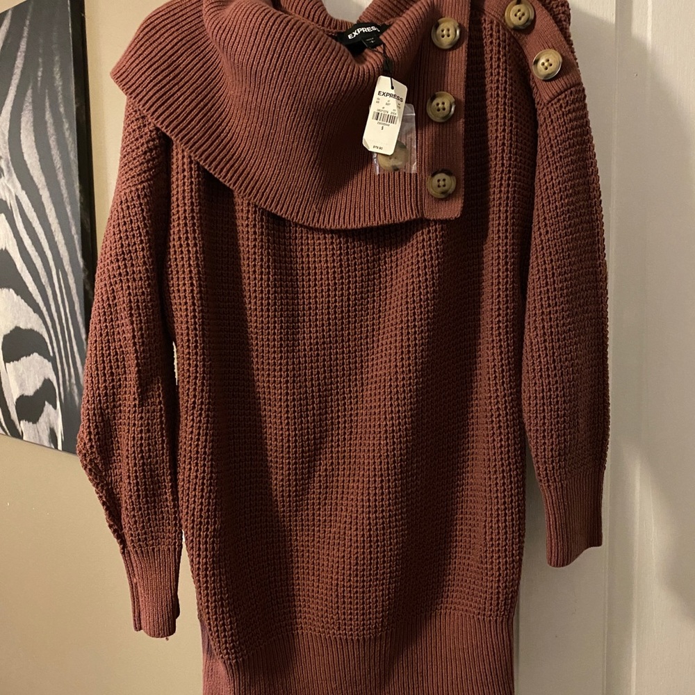 Express Sweater Dress